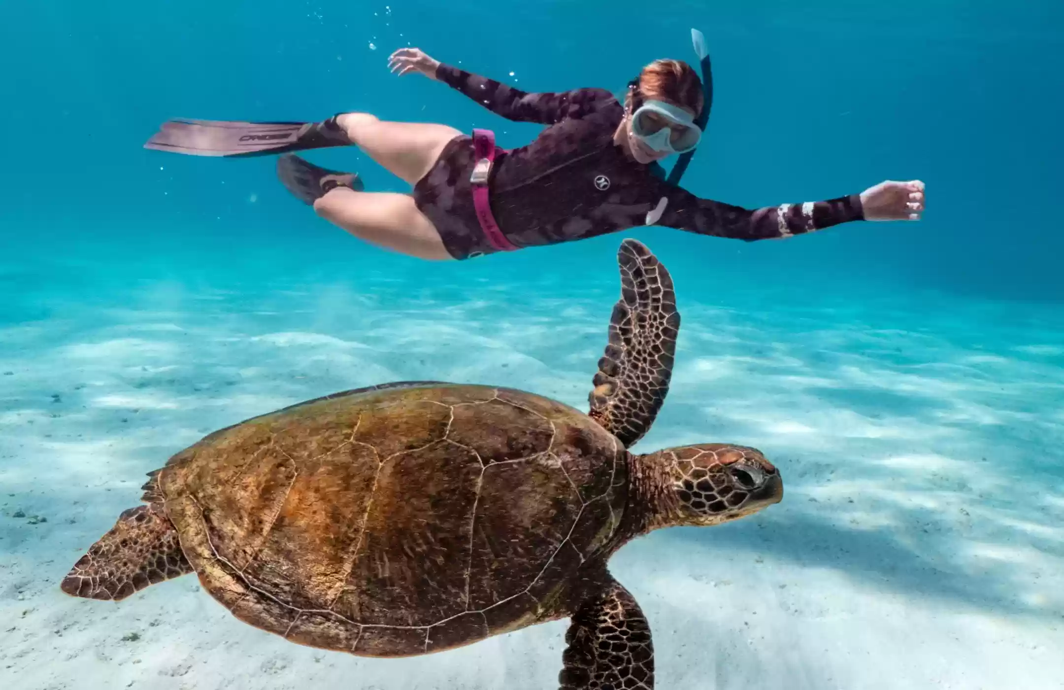 Amed Snorkeling Tour